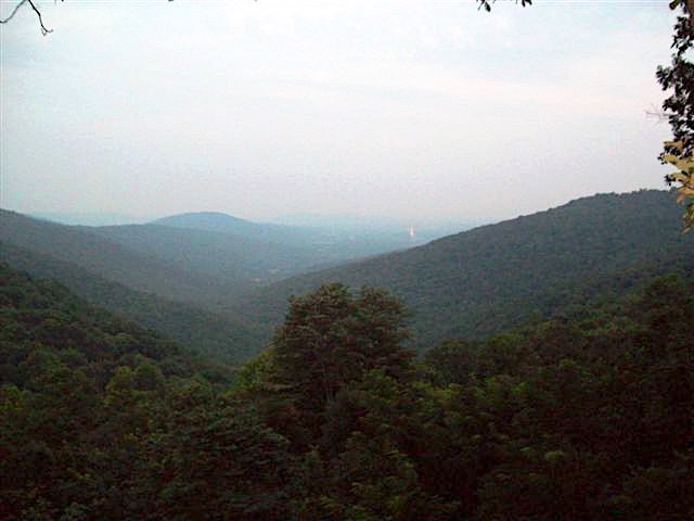 view from the pool